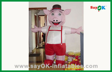 생일 파티용 만화 캐릭터 맞춤형 서있는 다채로운 팽창 돼지 팽창 만화 캐릭터